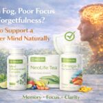Brain Fog, Poor Focus and Forgetfulness? How to Support a Sharper Mind Naturally